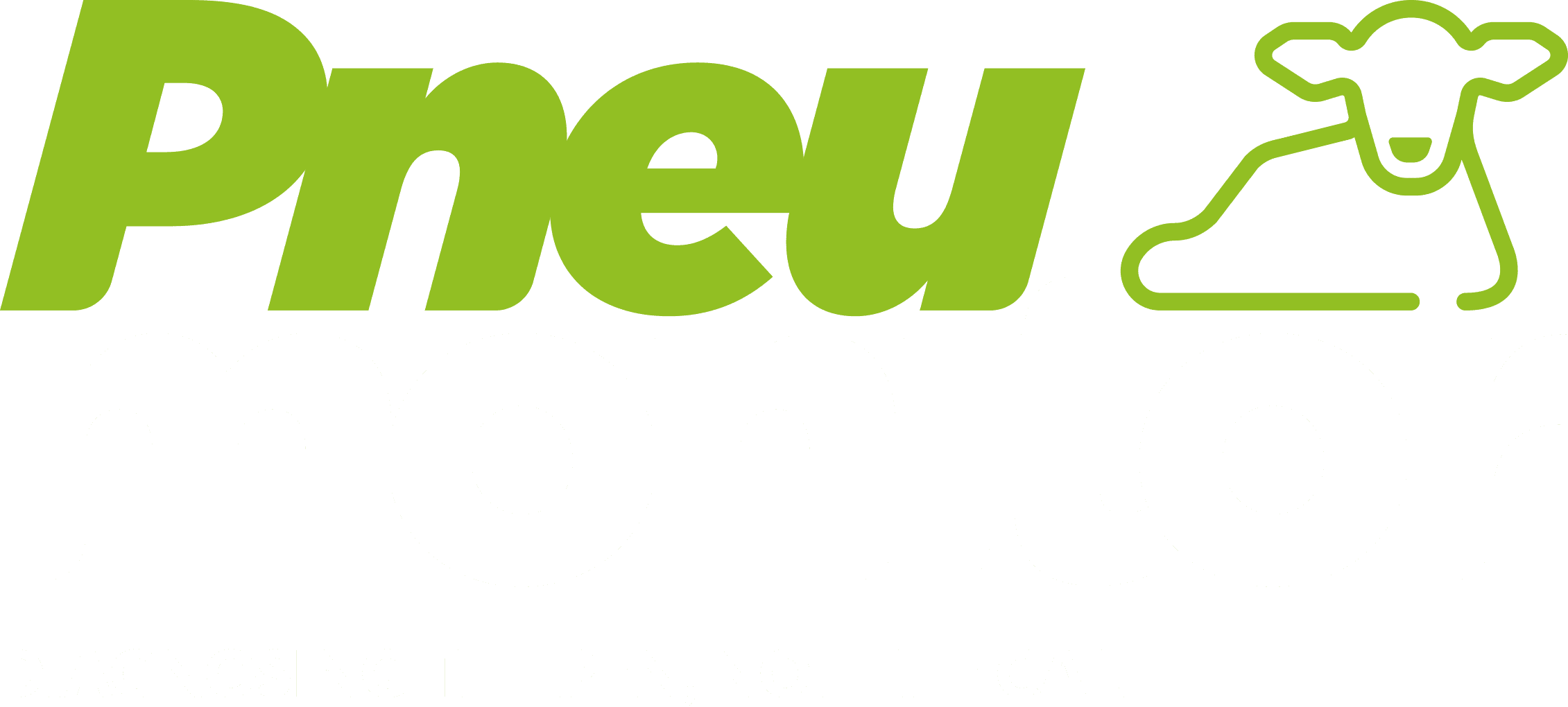 Pneumonitor